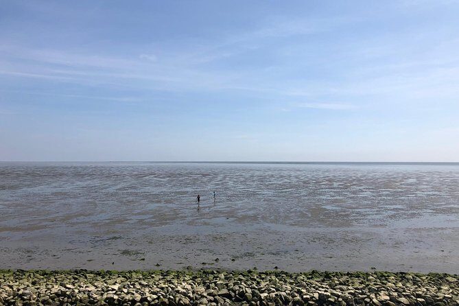 Full day tour to Texel - Friesian Islands - from Amsterdam - Final Activities and Return Journey