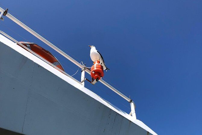 Full day tour to Texel - Friesian Islands - from Amsterdam - Who Will Love This Tour?