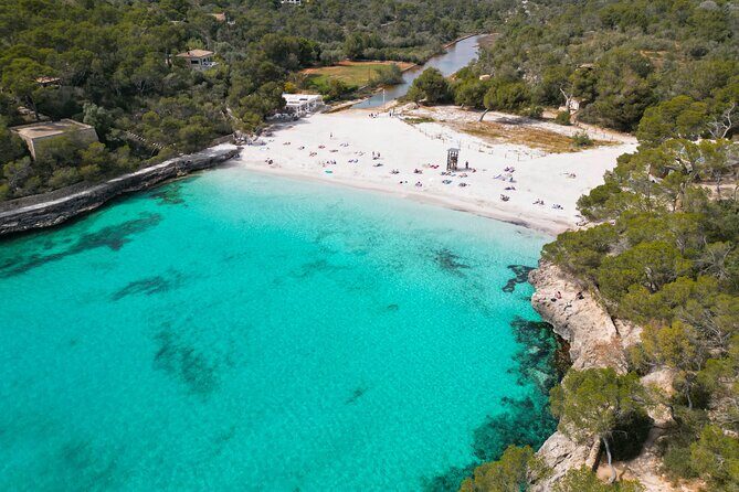 Full Day Tour to the Best Beaches and Coves of Mallorca - Key Points