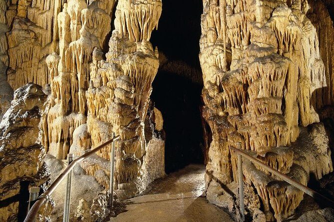 Full day tour to the Caves of Drach and Caves of Hams in Mallorca - Is It Good Value?