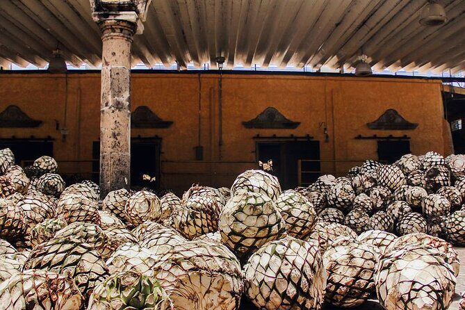 Full day tour to the Yucatan Peninsula - Final thoughts