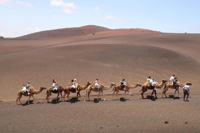 Full Day Tour to Timanfaya, Green Lagoon and La Geria - Is This Tour Worth It?