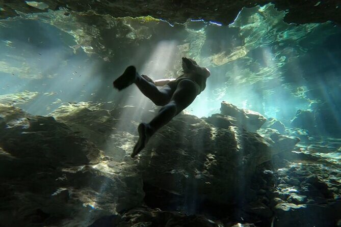 Full Day Tour to Tulum Cenote and Swim with Turtles in Akumal - The Main Event: Swimming with Sea Turtles in Akumal