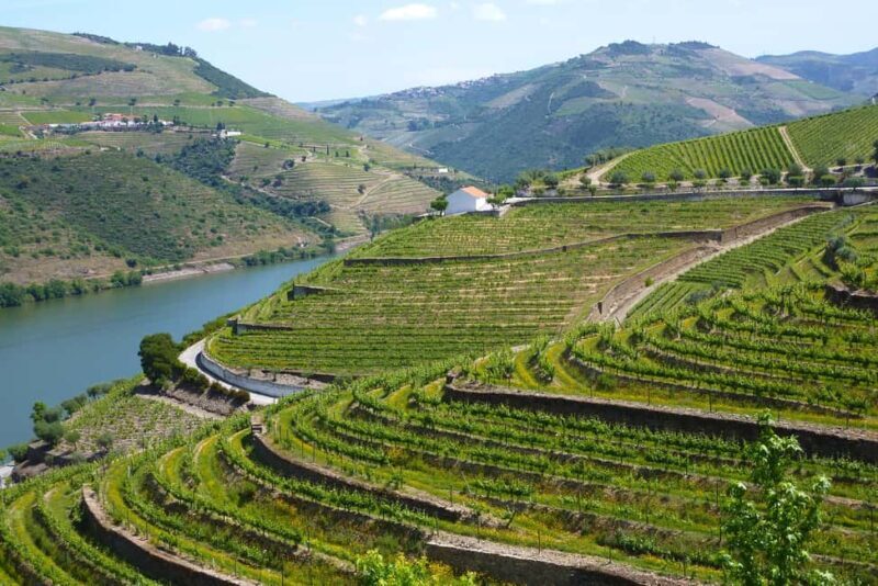 Full Day Tour - Transfer to Douro Valley from Lisbon w/stops - Key Points