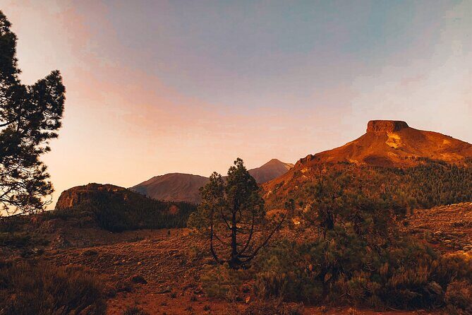 Full Day Tour with Certified Guide in Tenerife - Who Is This Tour Best For?