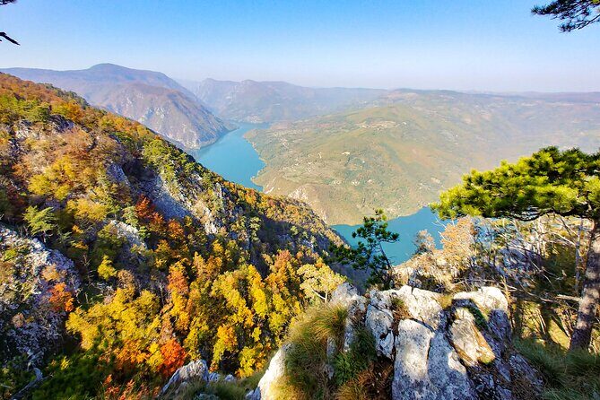 Full Day Trip from Belgrade: The Drina River House And Tara Park Tour - What’s the Value?