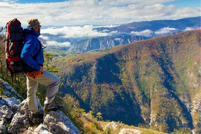 Full Day Trip from Belgrade: The Drina River House And Tara Park Tour - Who Would Love This Tour?