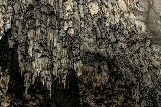 Full Day Trip from Belgrade: Uvac Nature Reserve Tour - Wrapping Up