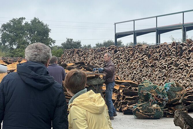 Full-day Trip in Evora, Winery & Cork Factory Private Transport - Who Should Consider This Tour?