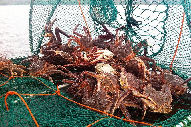 Full-Day Trip: King Crab Safari to Norway from Saariselkä Including Lunch - Who Will Love This Tour?