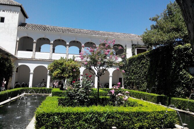 Full-Day Trip to Granada from Malaga with Private Guide - The Experience and Feedback