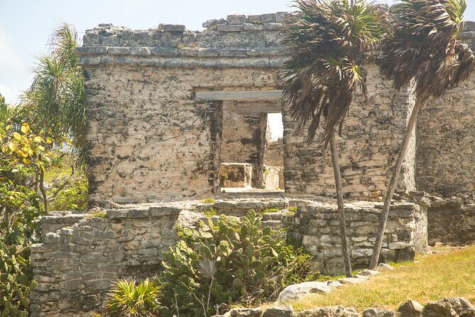 Full Day Tulum Ruins Tour Cenote and Swimming with Sea Turtles - What to Expect from the Tour