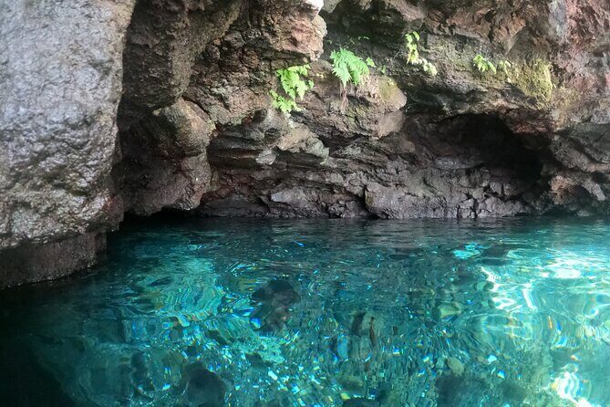 Full-Day Upolu Island Highlights Tour from Apia - Final Thoughts