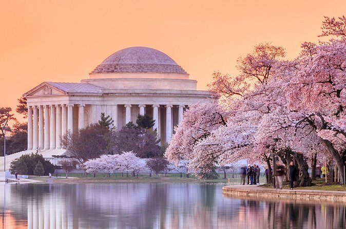 Full Day US Capitol Visit with Cherry Blossom & Potomac Cruise - Who Will Love This Tour?