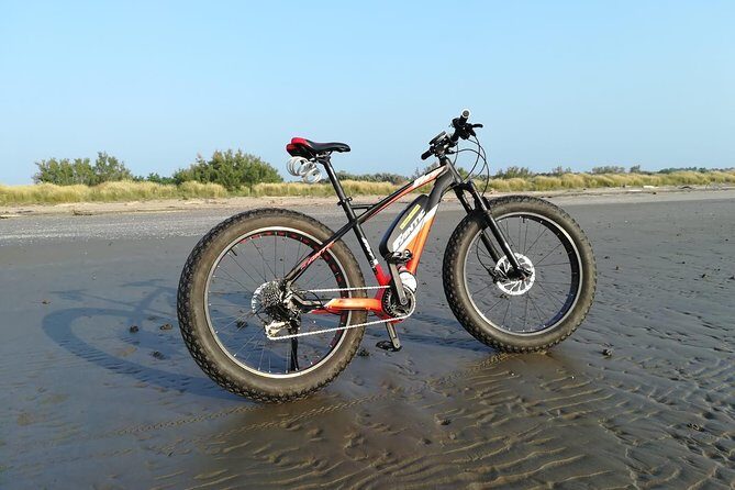 Full Day Venice E-Bike Rental - Key Points