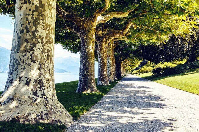 Full-Day Villas of Lake Como from Varenna, Bellagio and Tremezzo - What Travelers Are Saying