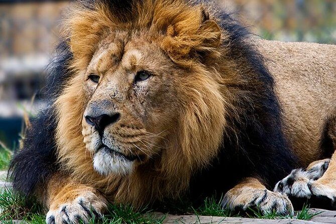 Full-Day Western Theme Park Tour of Mini Hollywood - Oasys - Exploring the Full-Day Western Theme Park Tour of Mini Hollywood - Oasys in Almeria