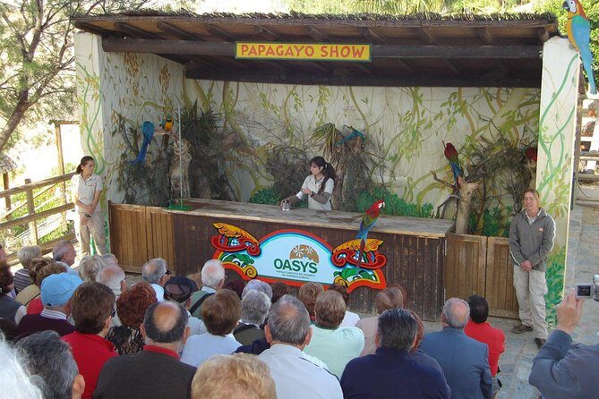 Full-Day Western Theme Park Tour of Mini Hollywood - Oasys - Diving Deeper into the Experience