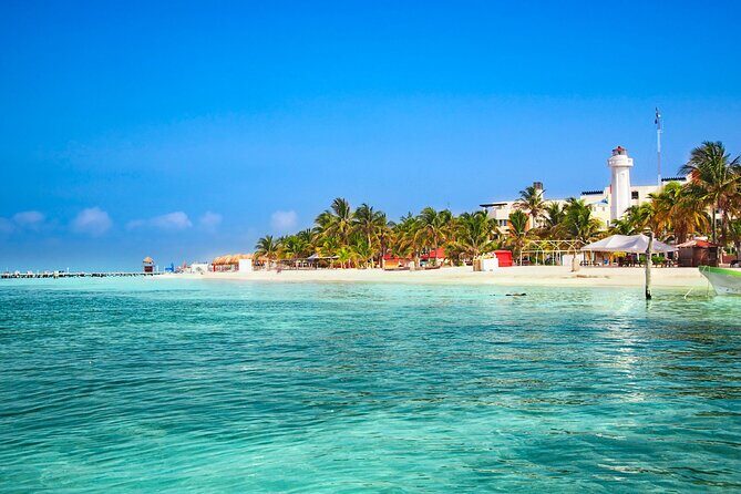 Full-Day Whale Shark Snorkeling Adventure with Beach Lunch - The Itinerary Breakdown: What to Expect