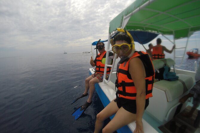 Full-Day Whale Shark Tour Puerto Morelos with Pickup and Lunch - In-Depth Look at the Experience