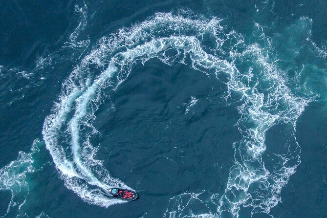 Full Day Whale Watching Campbell River - Who Is This Tour Best For?