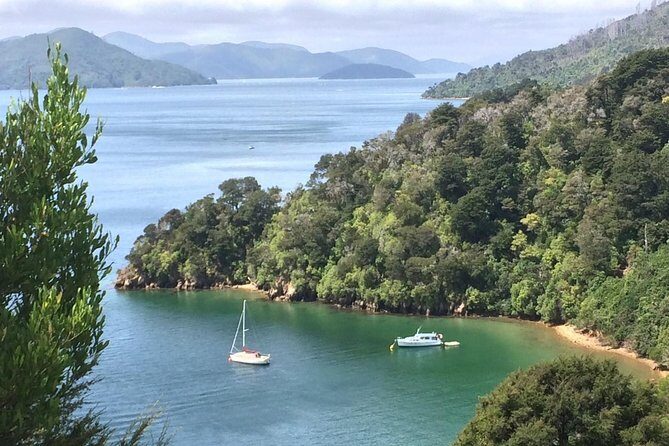 Full-Day Wine Gourmet and Scenic Delight Tour of Marlborough from Blenheim - The Value for Money