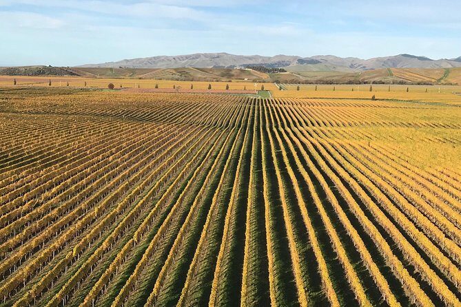 Full-Day Wine Gourmet and Scenic Delight Tour of Marlborough from Blenheim - Final Thoughts