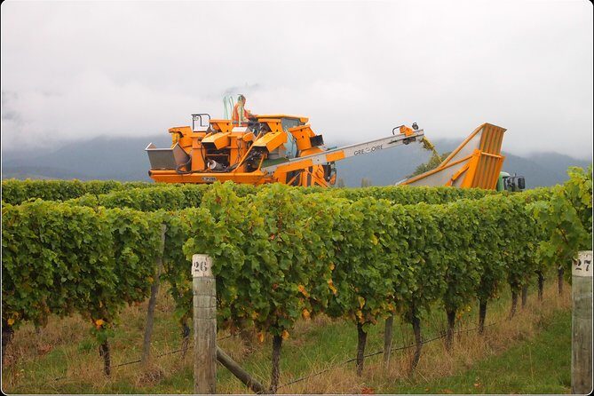 Full-Day Wine Gourmet and Scenic Delight Tour of Marlborough from Picton - Introduction