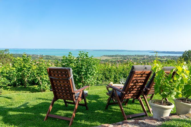 Full-Day Wine Tasting at Lake Balaton Private Tour from Budapest - Who Should Consider This Tour?