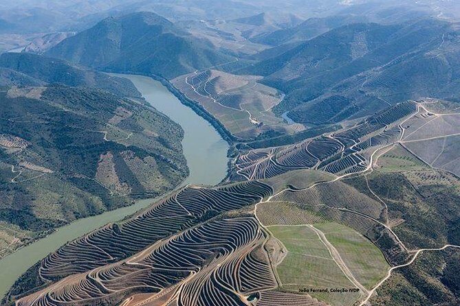 Full Day, Wine Tasting, River Cruise and Lunch from Porto - Practical Aspects & Considerations