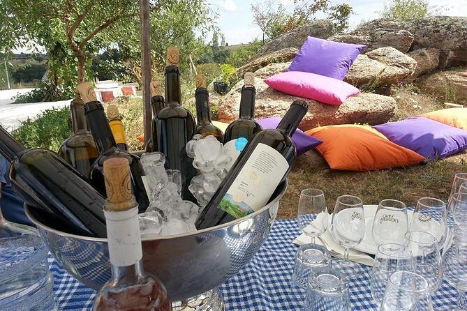 Full-Day Wine Tour from Istanbul - Key Points