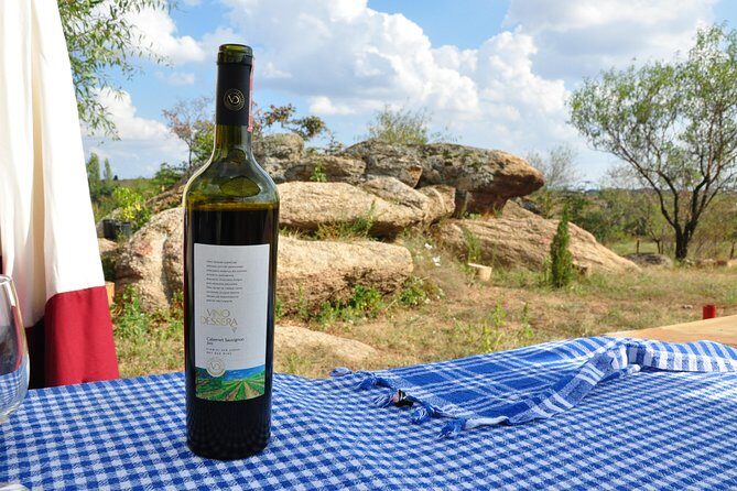 Full-Day Wine Tour from Istanbul - The Itinerary: What You Can Expect