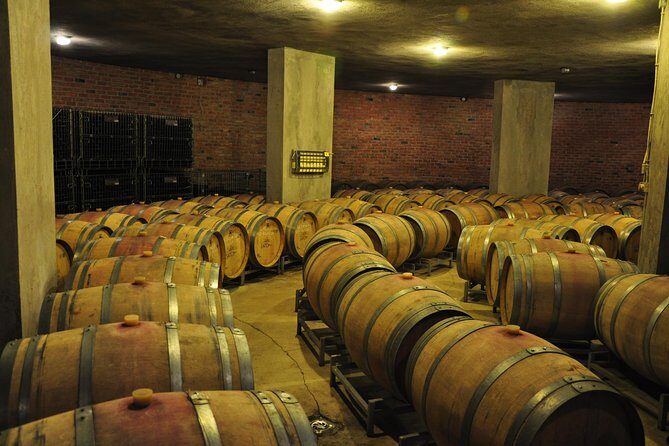 Full-Day Wine Tour from Istanbul - Considerations and Downsides