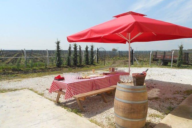 Full-Day Wine Tour from Istanbul - FAQs About the Full-Day Wine Tour