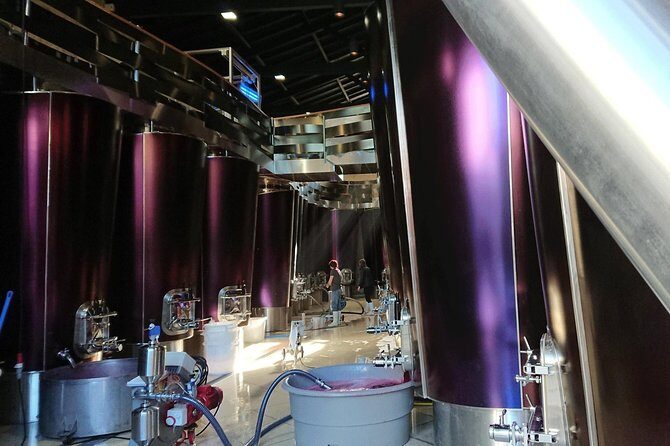 Full-day wine tour in Saint-Emilion (Premium Sedan) - What Travelers Say About This Tour