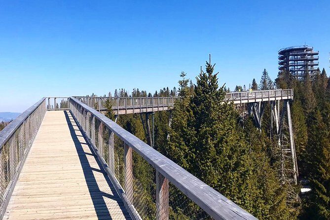 Full-Day Zakopane and Slovakia Treetop Walk From Krakow - The Real Experience: What Travelers Say