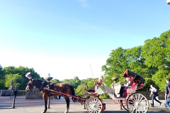 Full loop Private Horse Carriage Ride in Central Park 45 Minutes - Key Points