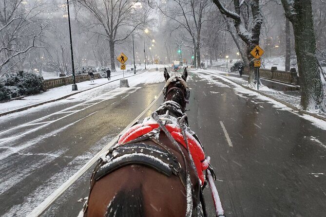 Full loop Private Horse Carriage Ride in Central Park 45 Minutes - Final Thoughts: Who Will Love This?