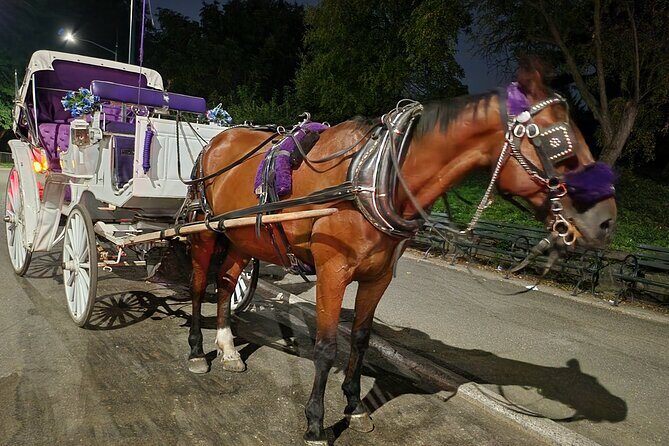 Full loop Private Horse Carriage Ride in Central Park 45 Minutes - FAQs