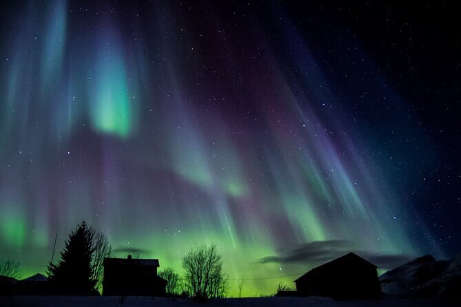 Full Night Magic of the Northern Lights in Tromso - FAQs About the Tour