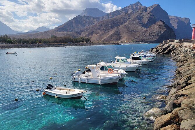 Full Private Tour of Gran Canaria with Natural Pools - Final Thoughts