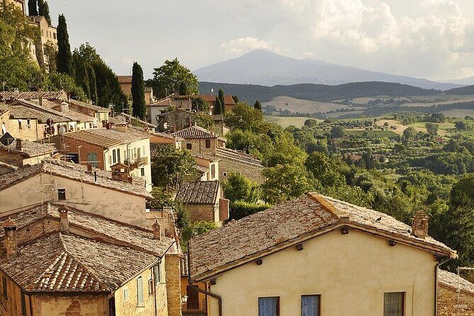 Full Rioja Wine Tour with Lunch from Bilbao Private Tour - What to Expect on This Rioja Wine Tour