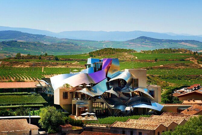 Full Rioja Wine Tour with Lunch from Bilbao Private Tour - What We Love and What to Consider