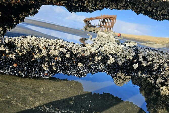 Full Tour of 4 coastal towns from Astoria to Seaside with lunch - Key Points: