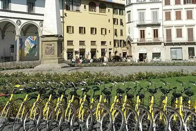 Fully equipped city bike to discover Florence - 1 day rental - What to Expect from Your Bike Rental Day in Florence