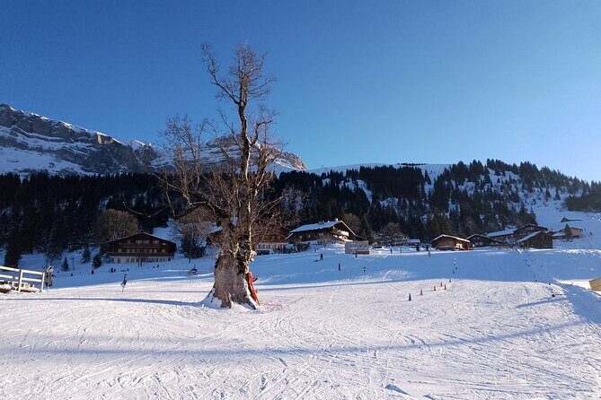 Fully organized Ski Experience for Private Groups - Who Should Consider This Tour?