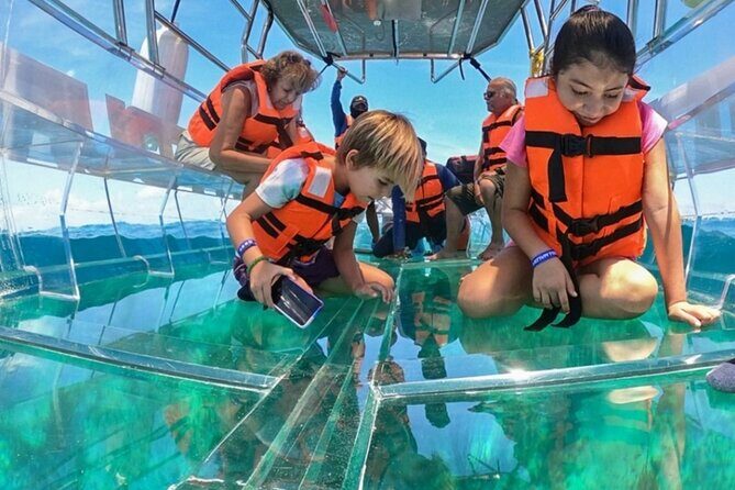 Fully Transparent Boat Tour in Los Cabos - The Experience: Pros and Cons