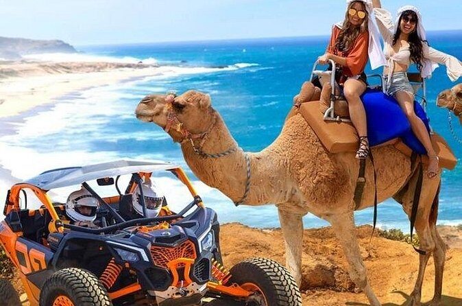 Fun Camel Ride and UTV COMBO with Tequila Tasting! - Who is This Tour Best For?