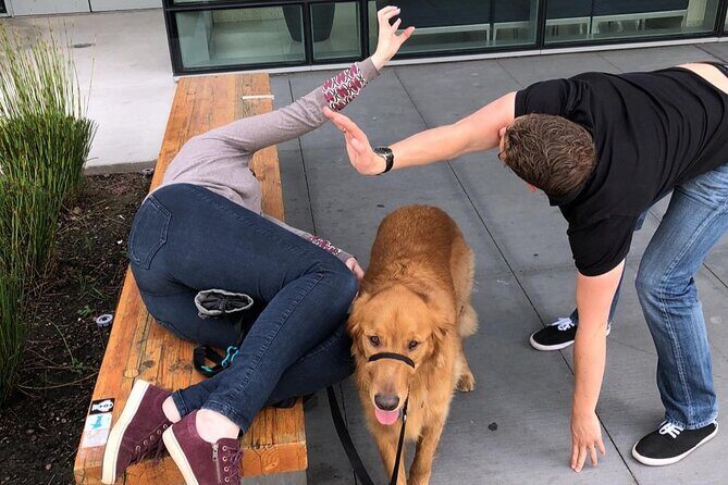 Fun City Scavenger Hunt in Temecula by 3Quest Challenge - Who It Suits Best