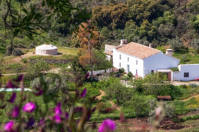 Fun Cooking Class - Tasty Andalusian Tapas - Introduction